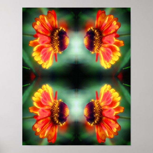Dreamy Zinnia Blume Abstrakte Kunst Poster (Vorne)