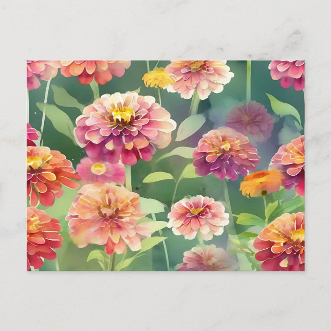 Dreamy Zinnia Blume Postkarte (Vorderseite)