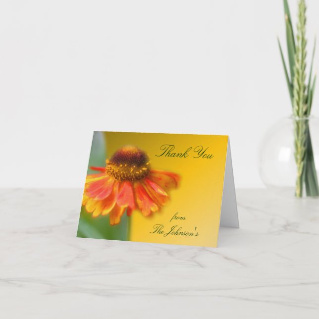 Dreamy Zinnia Blume Vielen Dank Dankeskarte (Vorderseite)
