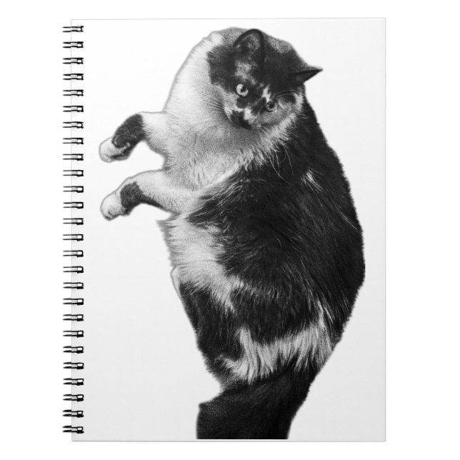 Dreh-Side Feline Journal Notizblock (Vorderseite)