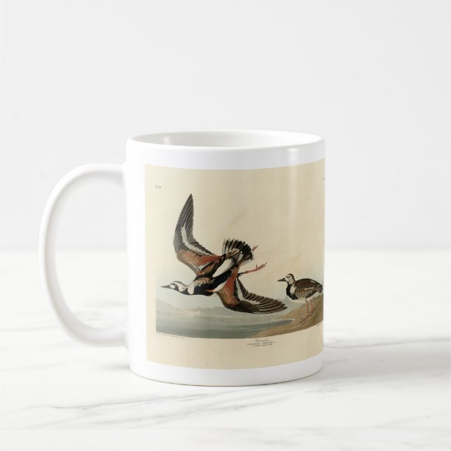 Dreh-Stein (Ruddy Turnstone) - Audubons Vögel Kaffeetasse (Links)