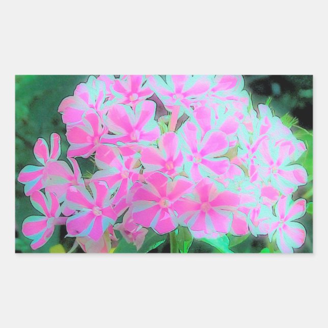 Drehung Phlox (Pink und Weiß) Rechteckiger Aufkleber (Vorderseite)