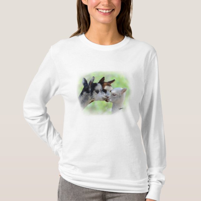 Drei Alpaka-T - Shirt (Vorderseite)
