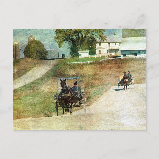 Drei Amish-Buggyen Postkarte (Vorderseite)