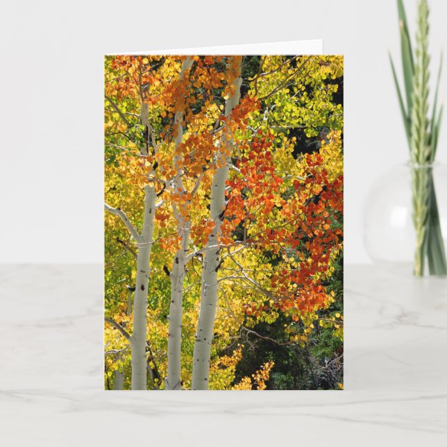 Drei Aspekte im Herbst, leere Grußkarte Karte (Vorderseite)