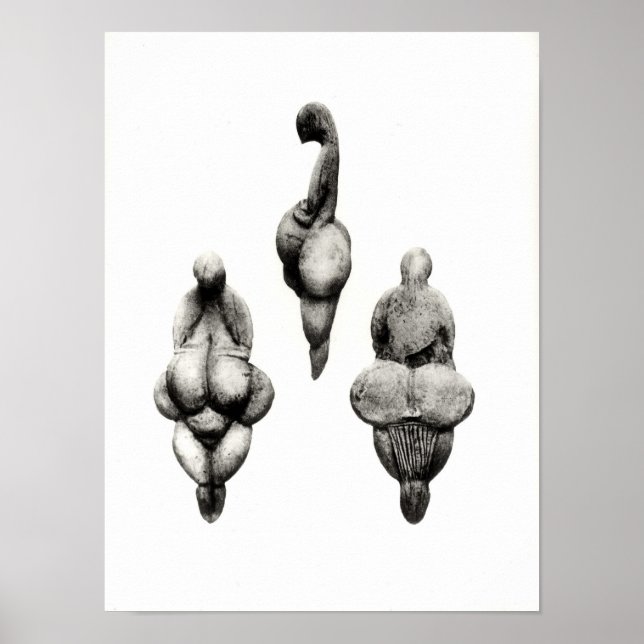 Drei Ausblicke auf die Statuette "Venus" Poster (Vorne)