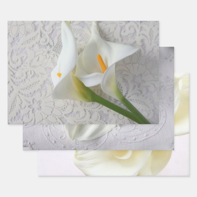 Drei Ausblicke auf die weiße Calla Lilie Geschenkpapier Set (Set)
