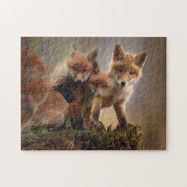 Drei Baby Red Foxes (Horizontal)