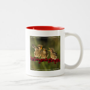 Drei BabyLanius Schach Vögel Zweifarbige Tasse