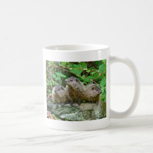 Drei Babymurmeltier Kaffeetasse