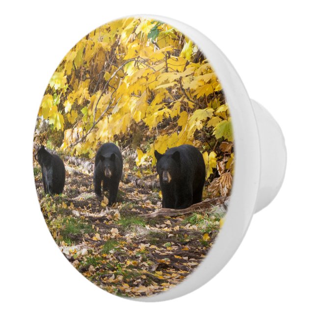 Drei Bären Keramikknauf (Rechts)