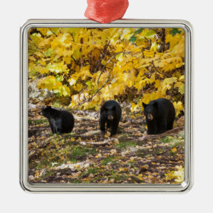 Drei Bären Ornament Aus Metall