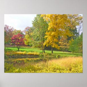 DREI BÄUME: ROSY RED; GOLDEN YELLOW; LIME GREEN POSTER