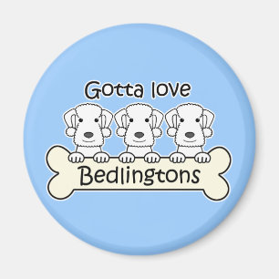 Drei Bedlington Terrier Magnet