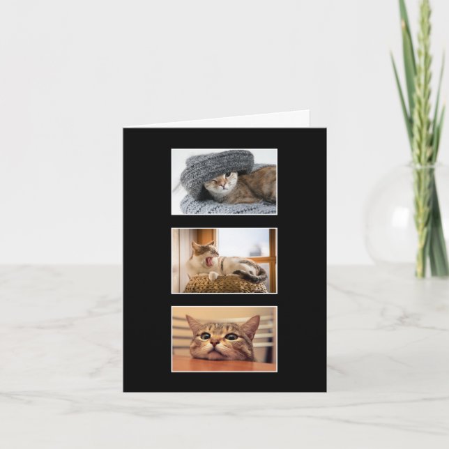 Drei benutzerdefinierte Cat-Foto Danke-Karte Karte (Vorderseite)