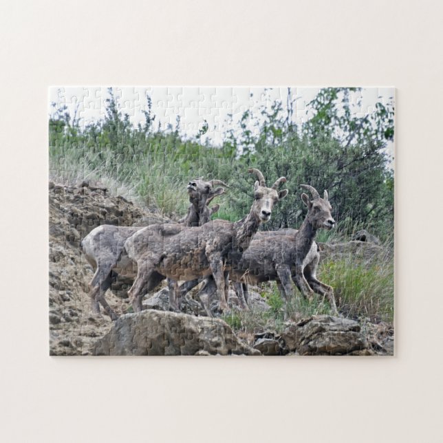 Drei Bergziegen auf Felsen Design Jigsaw Puzzle (Horizontal)
