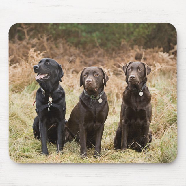 Drei Black Labrador Retrievers Mousepad (Vorne)