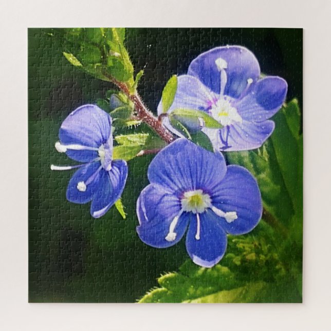 Drei blaue Blumen (Vertikal)