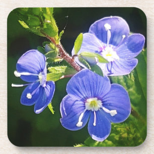 Drei blaue Blumen Getränkeuntersetzer