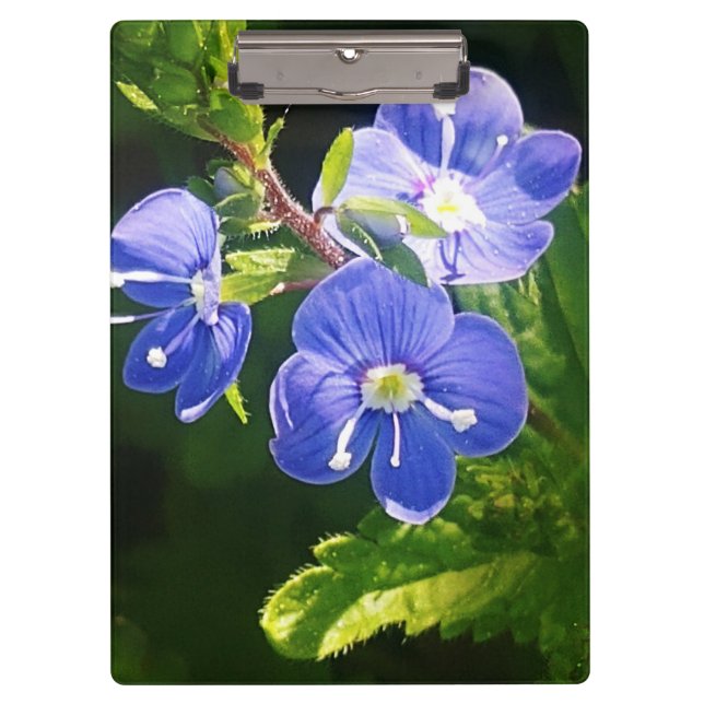 Drei blaue Blumen Klemmbrett (Vorderseite)