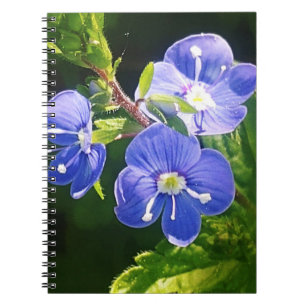 Drei blaue Blumen Notizblock