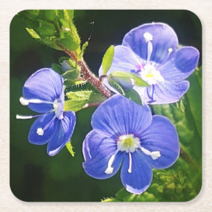 Drei blaue Blumen Rechteckiger Pappuntersetzer