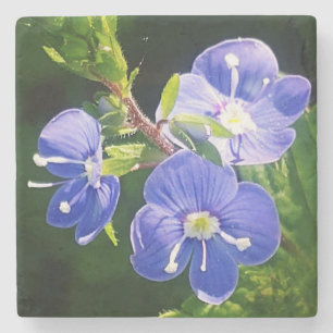 Drei blaue Blumen Steinuntersetzer