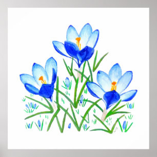 Drei Blaue Krokusblumen Druck Poster