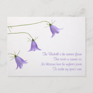Drei Bluebells Foto mit einem Gedicht Postkarte