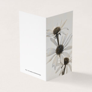 Drei Blume des weißen Kons