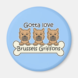 Drei Brüssel Griffons Magnet
