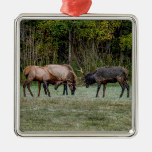Drei Bull Elk Kämpfe Ornament Aus Metall