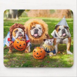 Drei Bulldoggen in Kostümen Mousepad