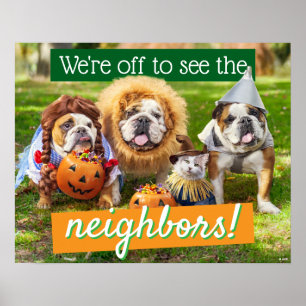 Drei Bulldoggen in Kostümen Poster
