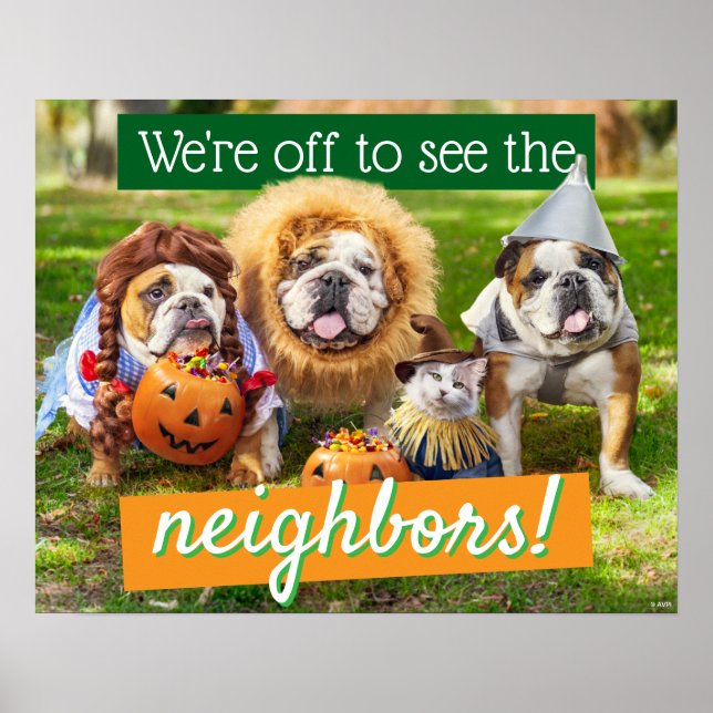Drei Bulldoggen in Kostümen Poster (Vorne)