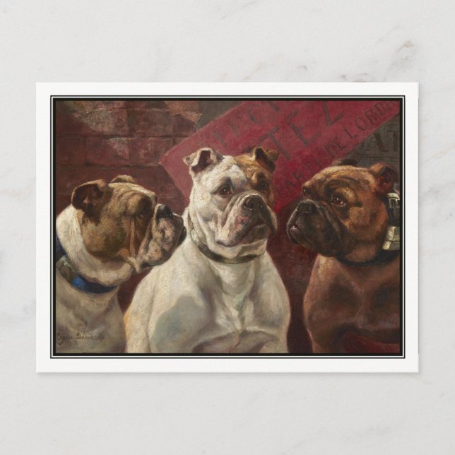 Drei Bulldogs von Charles Boland Postkarte (Vorderseite)