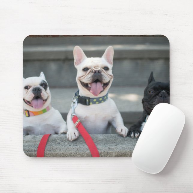 Drei Bullhunde Mousepad (Mit Mouse)