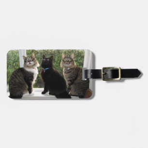 Drei Cat Friends Gepäckmarke Gepäckanhänger