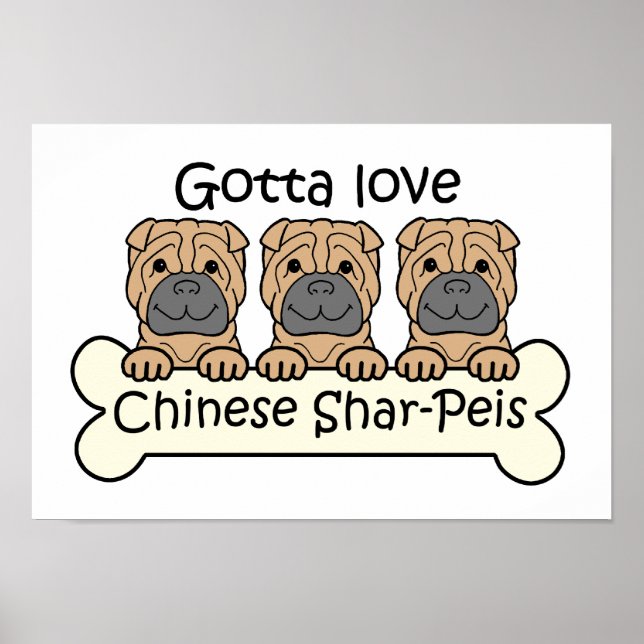 Drei chinesische Shar-Peis Poster (Vorne)