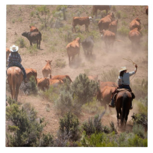 Drei Cowboys und Cowgirls treiben Rinder Fliese