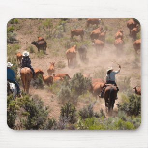 Drei Cowboys und Cowgirls treiben Rinder Mousepad