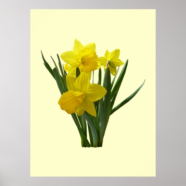Drei Daffodien Stehend Guard Poster (Vorne)