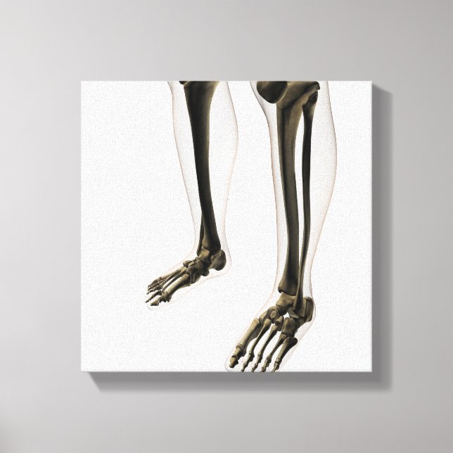 Drei Dimensionen der menschlichen Leg und Füße Leinwanddruck (Vorderseite)