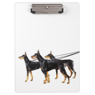 Drei Dobermann auf Leine Klemmbrett
