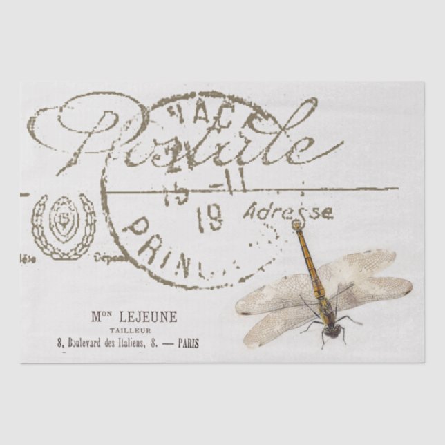 Drei Drachenfliege französisches Postale Entdeckun Seidenpapier (Vorderseite)