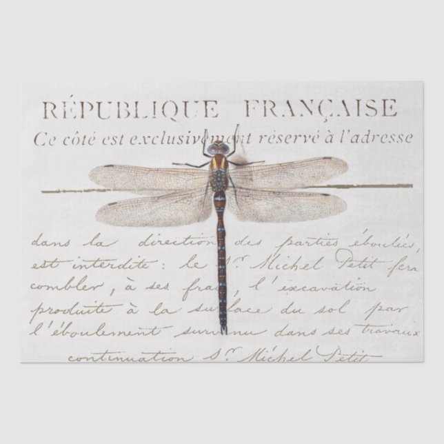 Drei Drachenfliege französisches Postale Entdeckun Seidenpapier (Vorderseite)