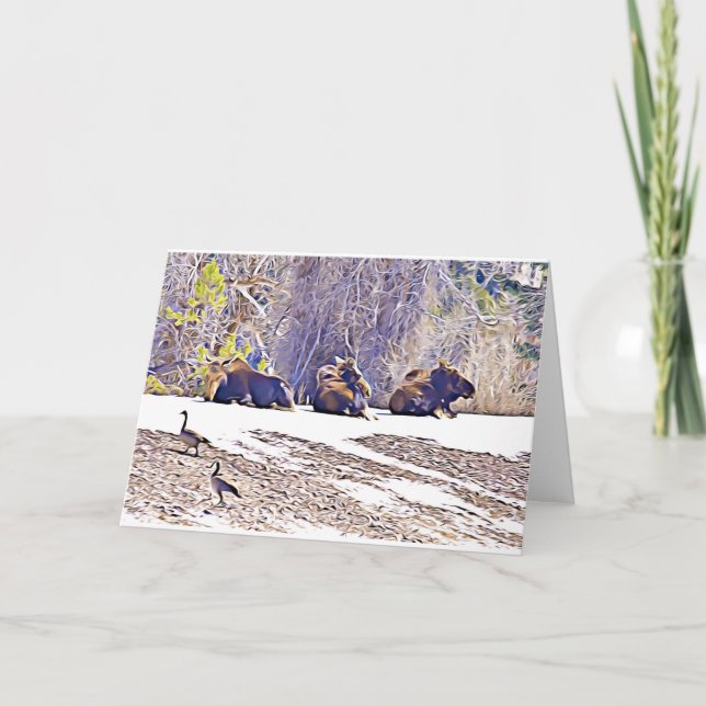 Drei Elche, notecard (Vorderseite)