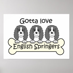 Drei englische Springer-Spaniels Poster