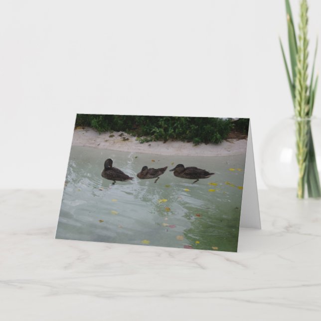 "Drei Enten" Danke Karte (Vorderseite)