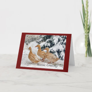Drei Enten-Parade im Schnee-Holiday-Grußkarte Feiertagskarte